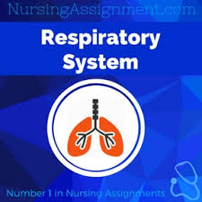 Respiratory Nursing Essay