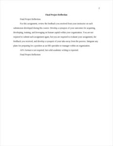 Final Project Reflection – page 2