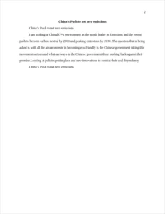 China's Push to net – page 2