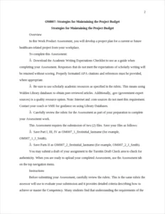 Strategies for Maintaining the Project Budget – page 2