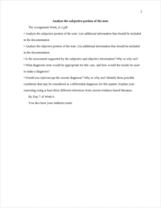 analyze the subjective portion of the note – page 2