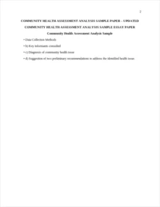 Community Health Assessment Analysis Sample – page 2