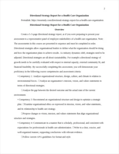 Directional Strategy Report for a Health Care Organization – page 2