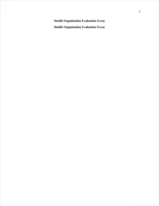 Health Organization Evaluation Essay – page 2