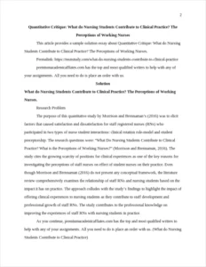 What do Nursing Students Contribute to Clinical Practice – page 2