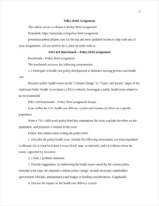Policy Brief Assignment – page 2