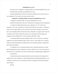 Windshield Survey APA – page 2