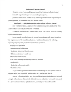 Professional Capstone Journal – page 2