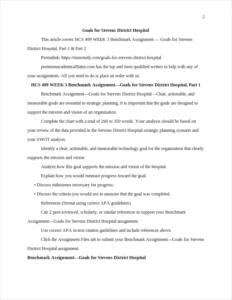 Goals for Stevens District Hospital – page 2