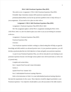 PRAC 6665 Practicum Experience Plan – page 2
