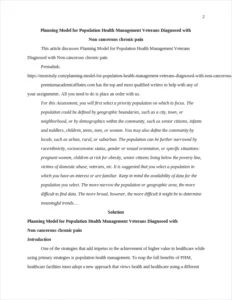 Planning Model for Population Health Management Veterans Diagnosed with Non-cancerous chronic pain – page 2