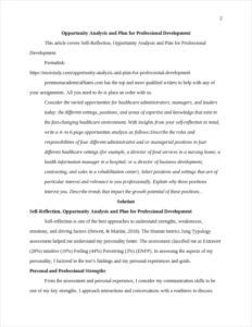 Opportunity Analysis and Plan for Professional Development – page 2