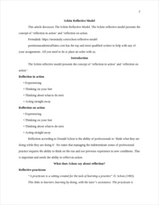 Schön Reflective Model – page 2