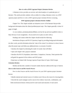 DNP capstone project Literature Review – page 2