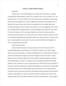 Suicide as a Public Health Emergency – page 2