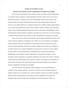 Human Service Delivery System Comprehensive Nursing Essay Example – page 2