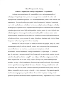 Cultural Competence in Nursing Comprehensive Essay Example – page 2