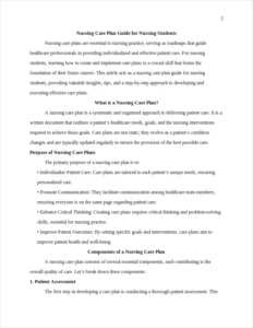 nursing care plan guide – page 2