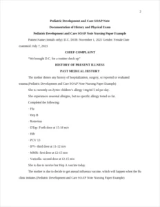 Pediatric Development and Care SOAP Note Nursing Paper Example – page 2