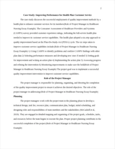 Role of Project Manager in Healthcare Nursing Essay Example – page 2