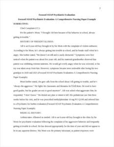 Focused SOAP Psychiatric Evaluation-A Comprehensive Nursing Paper Example – page 2