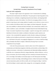 Nursing Project Assessment Comprehensive Essay Example – page 2