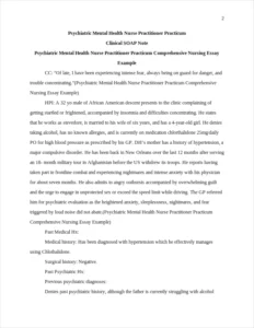 Psychiatric Mental Health Nurse Practitioner Practicum Comprehensive Nursing Essay Example – page 2