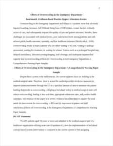 Effects of Overcrowding in the Emergency Department-A Comprehensive Nursing Paper Sample – page 2