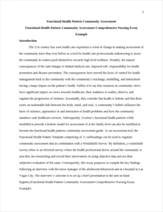 Functional Health Pattern Community Assessment Comprehensive Nursing Essay Example – page 2