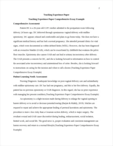 Teaching Experience Paper Comprehensive Essay Example – page 2