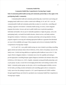 Community Health Plan Comprehensive Nursing Paper Sample – page 2