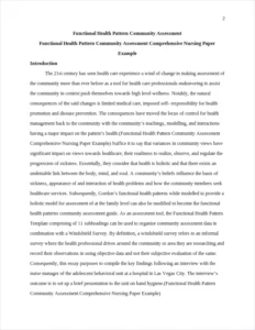 Functional Health Pattern Community Assessment Comprehensive Nursing Paper Example – page 2