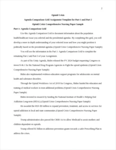 Opioid Crisis Comprehensive Nursing Paper Sample – page 2