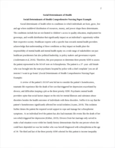 Social Determinants of Health Comprehensive Nursing Paper Example – page 2