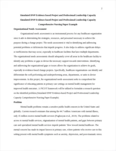 Simulated DNP Evidence-based Project and Professional Leadership Capacity Comprehensive Nursing Paper Example – page 2