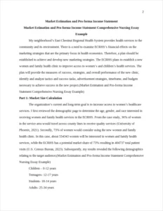 Market Estimation and Pro-forma Income Statement Comprehensive Nursing Essay Example – page 2