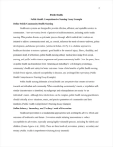 Public Health Comprehensive Nursing Essay Example – page 2