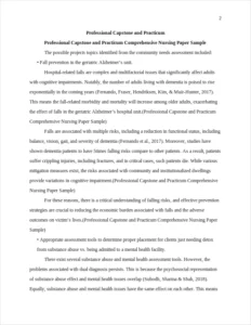 Professional Capstone and Practicum Comprehensive Nursing Paper Sample – page 2