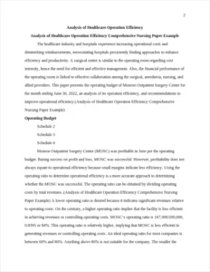 Analysis of Healthcare Operation Efficiency Comprehensive Nursing Paper Example – page 2