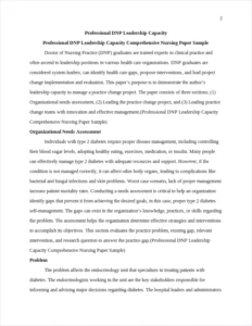 Professional DNP Leadership Capacity Comprehensive Nursing Paper Sample – page 2