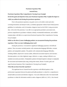 Practicum Experience Plan Comprehensive Nursing Essay Example – page 2