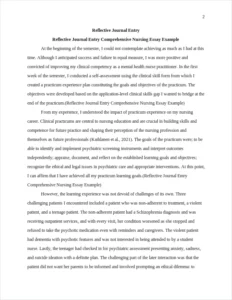 Reflective Journal Entry Comprehensive Nursing Essay Example – page 2
