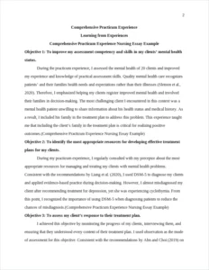Comprehensive Practicum Experience Nursing Essay Example – page 2