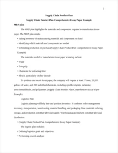 Supply Chain Product Plan Comprehensive Essay Paper Example – page 2
