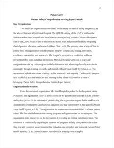 Patient Safety Comprehensive Nursing Paper Sample – page 2