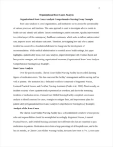 Organizational Root Cause Analysis Comprehensive Nursing Essay Example – page 2