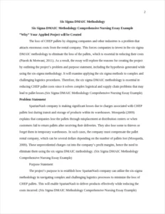 Six Sigma DMAIC Methodology Comprehensive Nursing Essay Example – page 2