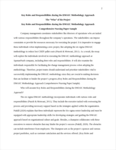 Key Roles and Responsibilities during the DMAIC Methodology Approach Comprehensive Nursing Paper Sample – page 2