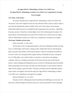 Six Sigma DMAIC Methodology to Reduce Lost CHEP Losts Comprehensive Nursing Essay Example – page 2