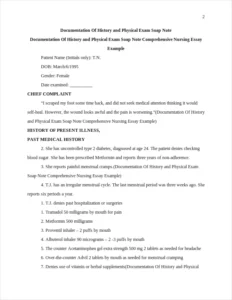 Documentation Of History and Physical Exam Soap Note Comprehensive Nursing Essay Example – page 2